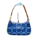 Cartera Coach Signature Azul