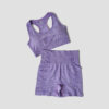 BraShortsPurple