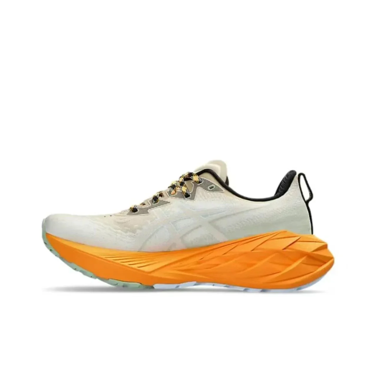 Asics Novablast 4